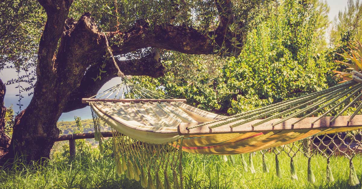 Schaduw In De Tuin Creëren 14 Snelle Manieren Voor Verkoeling