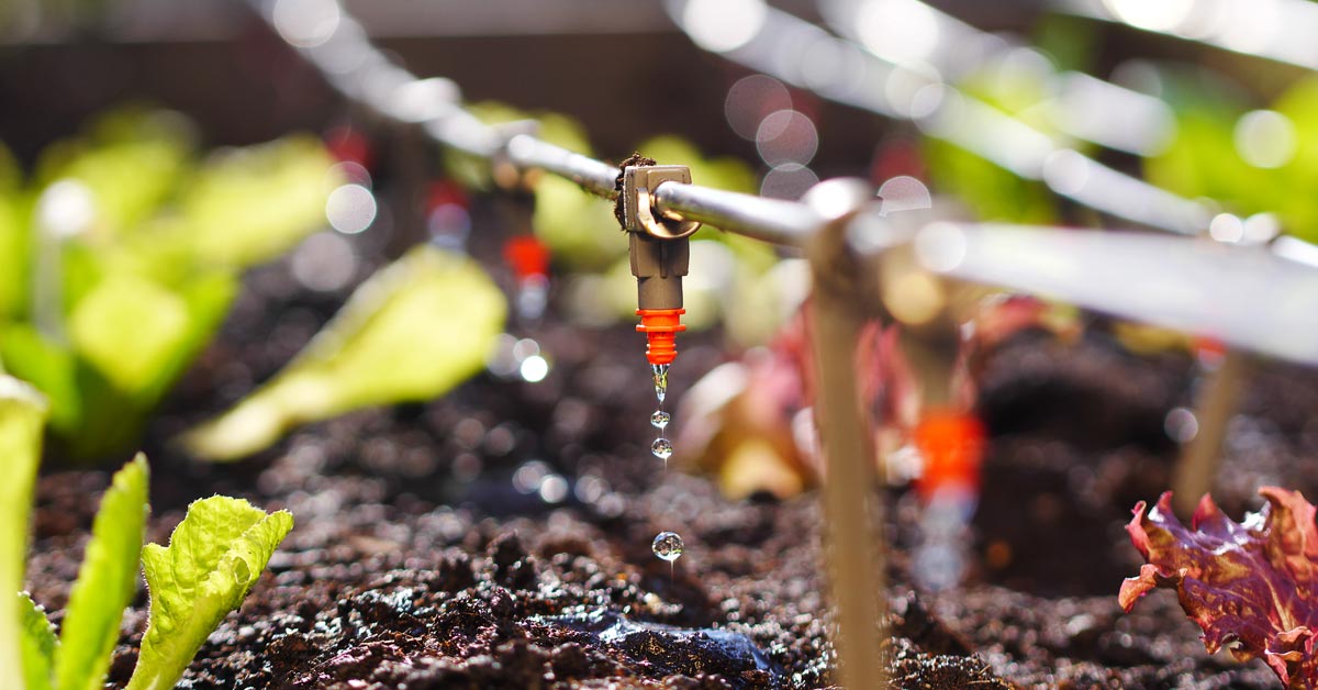 Zelf een Verticale Tuin &amp; Plantenmuur maken Buitenlevengevoel.nl