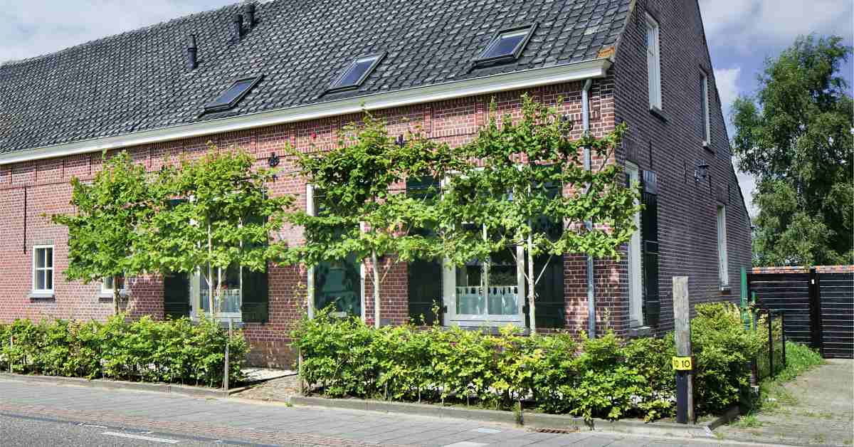 spuiten levering aan huis Uitgebreid Kleine Voortuin Inrichten: 13 x Foto's & Inspiratie - Buitenlevengevoel.nl