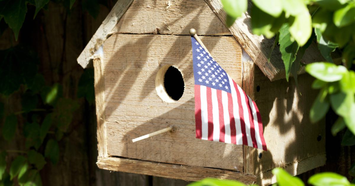 Nestkastje Maken Vogelhuisje Maken van Hout Buitenlevengevoel.nl